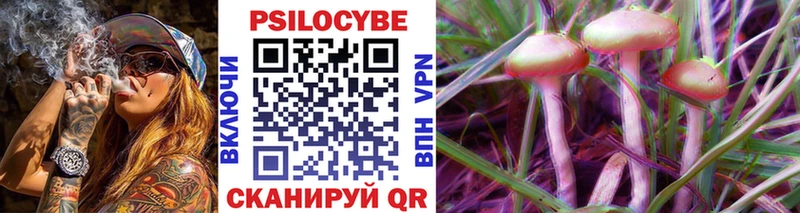 купить  сайты  Бердск  Псилоцибиновые грибы MAGIC MUSHROOMS 